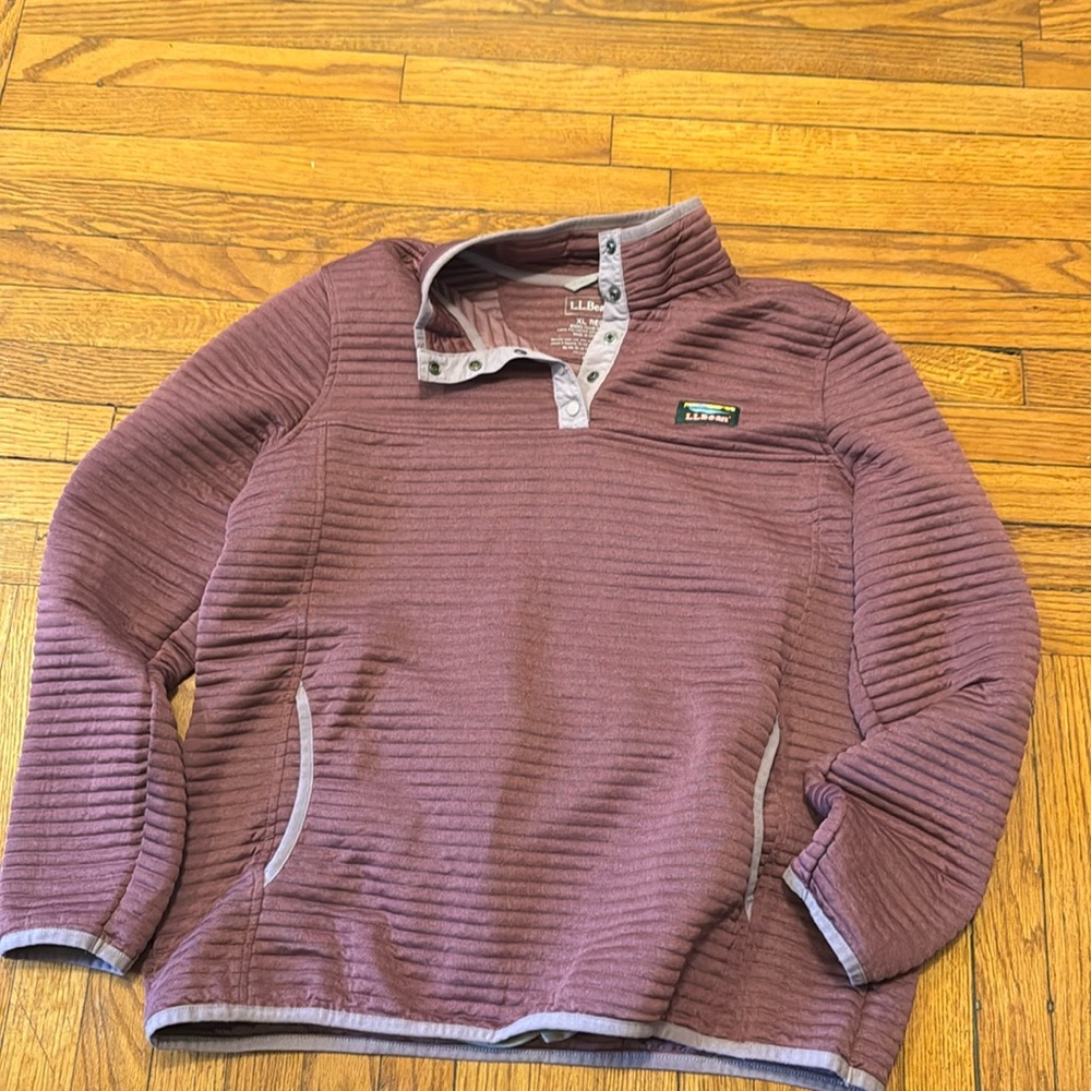 L.L. Bean Women's Ski Jacket in Purple and Gray